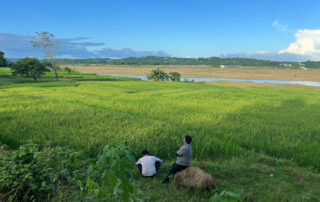BLOOM-WHERE-YOU-ARE-PLANTED